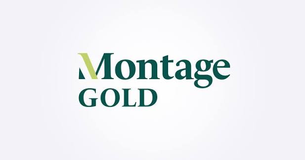 Montage Gold